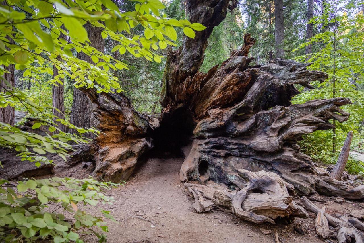 Hikers Haven Villa Arnold Kültér fotó